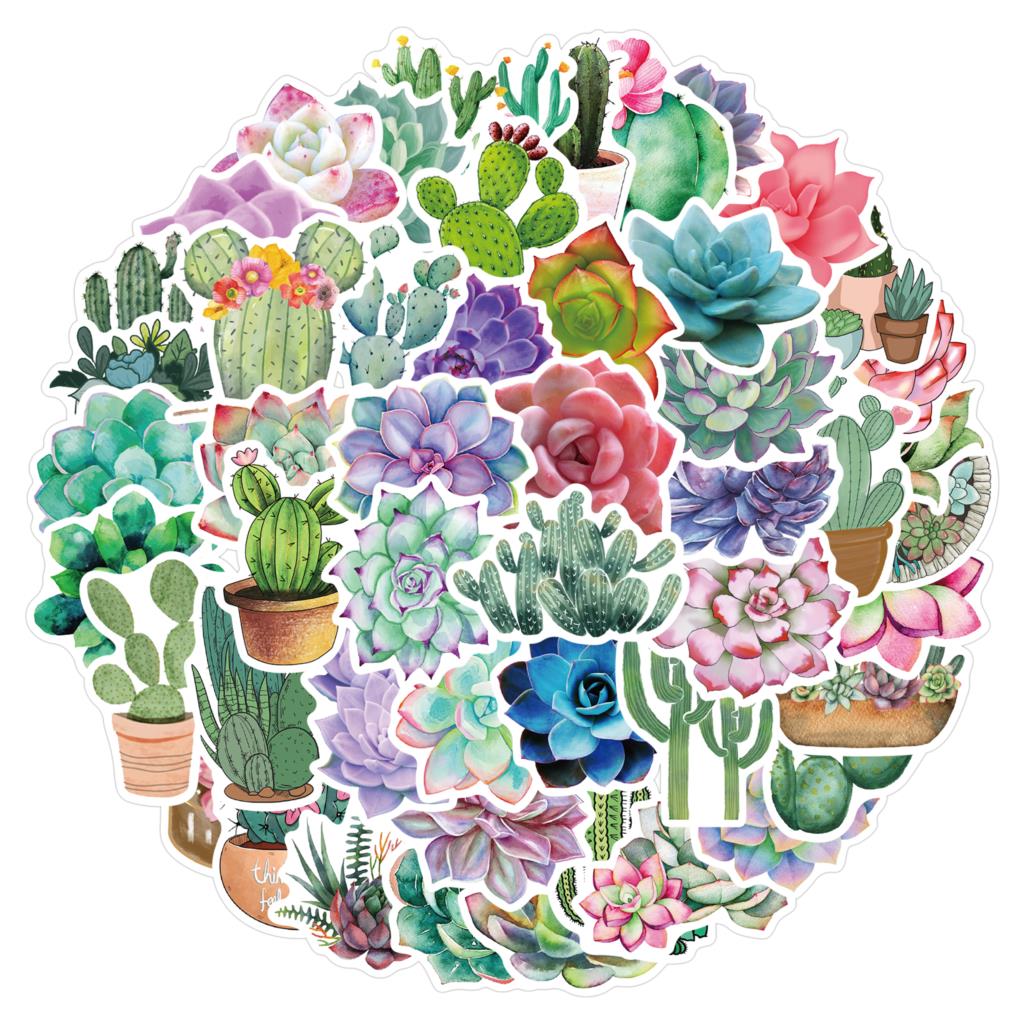 50PCS Succulent Stickers For L - Laptop Accessories Girly review and price