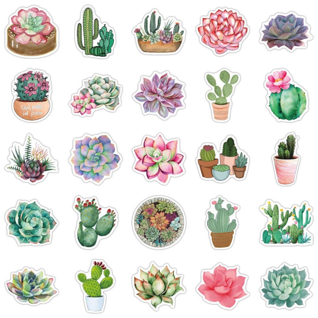 50PCS Succulent Stickers For L - Laptop Accessories Girly review and price