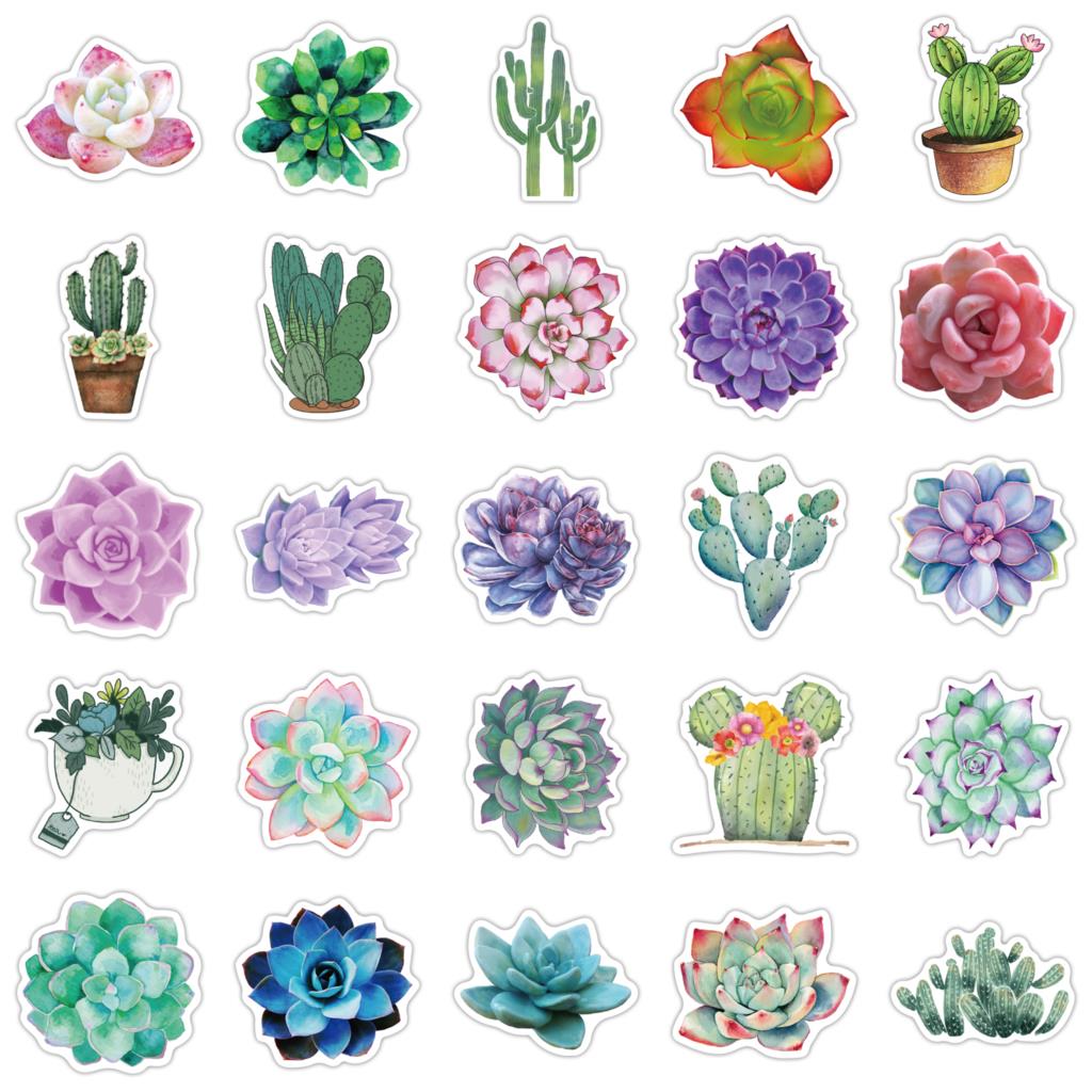 50PCS Succulent Stickers For L - Laptop Accessories Girly review and price