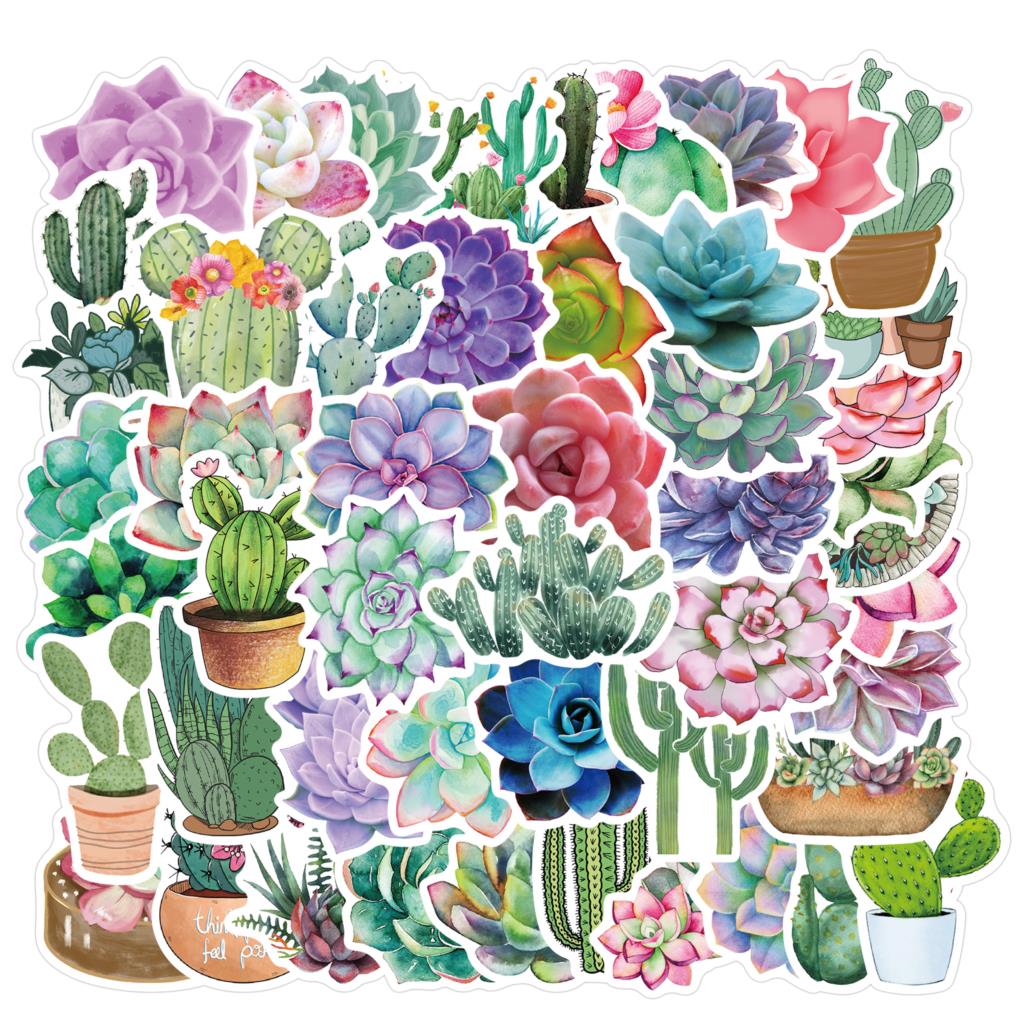 50PCS Succulent Stickers For L - Laptop Accessories Girly review and price