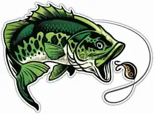 Perch Fishing Stickers Window  - Laptop Accessories Box review and price